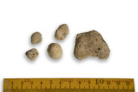 F 06985
<br/>
<br/>
<em></em>